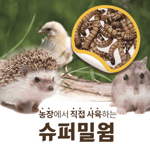 운영시간 : 10:00~18:00 (점심시간 11:50~13:00) * 주말 및 공휴일은 1:1 문의를 이용해 주세요.