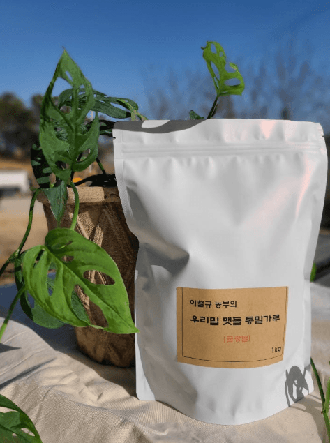 우리밀 맷돌 유기농통밀가루
